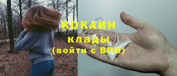 кокс Алексин