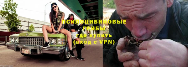 кокс Алексин