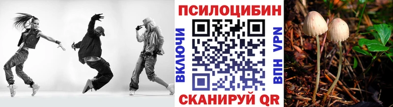 что такое наркотик  Ессентукская  Псилоцибиновые грибы Psilocybe 